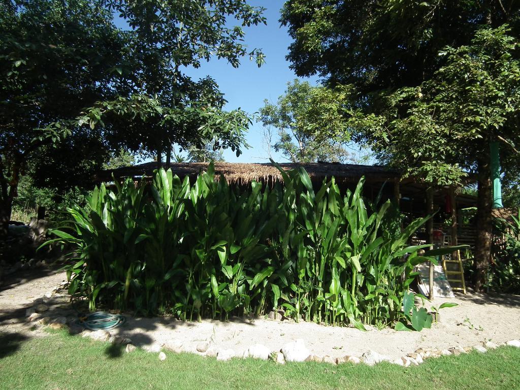Hotel Pai Bamboo Hut Esterno foto